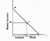 income-leisure graph